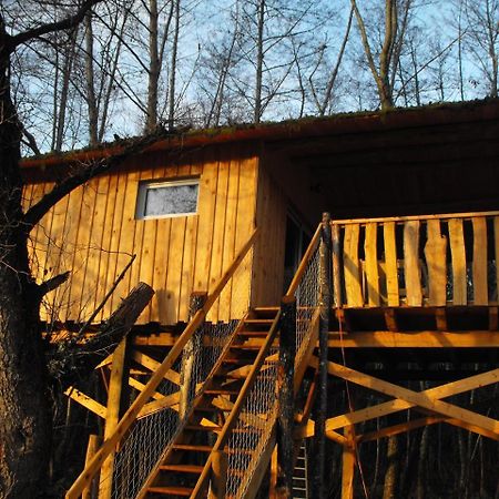 Cabane Des Cerfs Allons  المظهر الخارجي الصورة